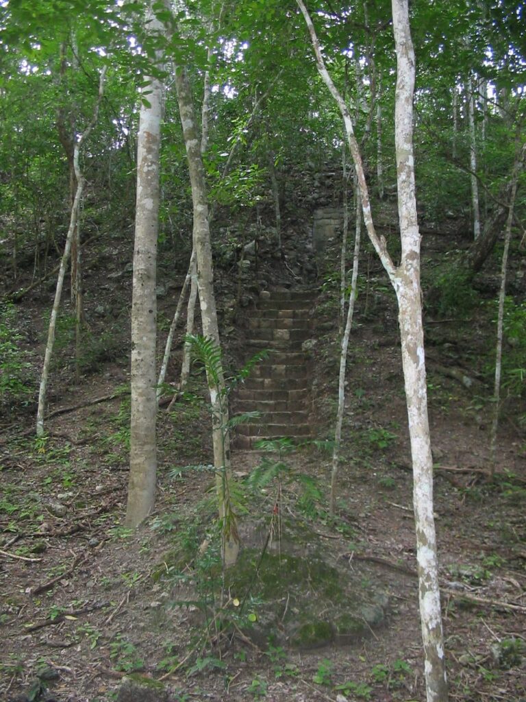 Steps in the jungle, Calakmul