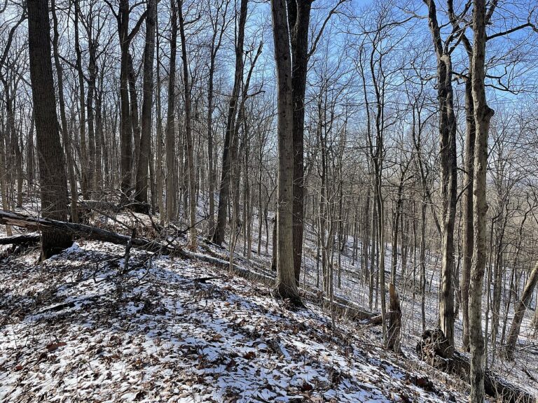 Fort Hill Earthworks looking down