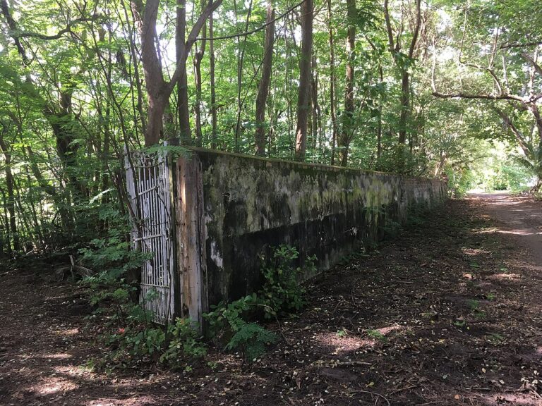 Oceania House wall enclosure ruins