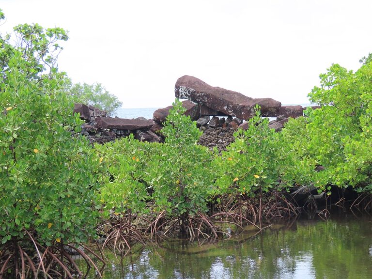 Nan Madol ruins by the ocean
