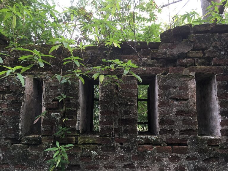 Oceania House surrounding garden wall ruins