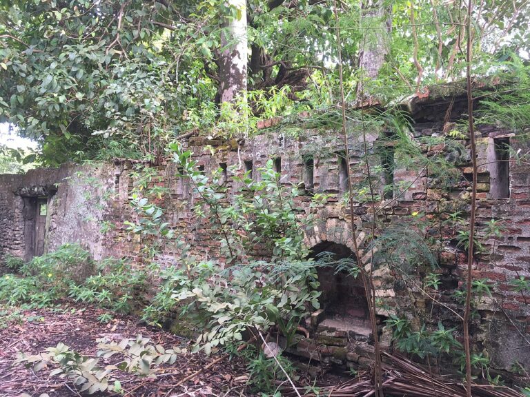 Oceania House surrounding wall ruins