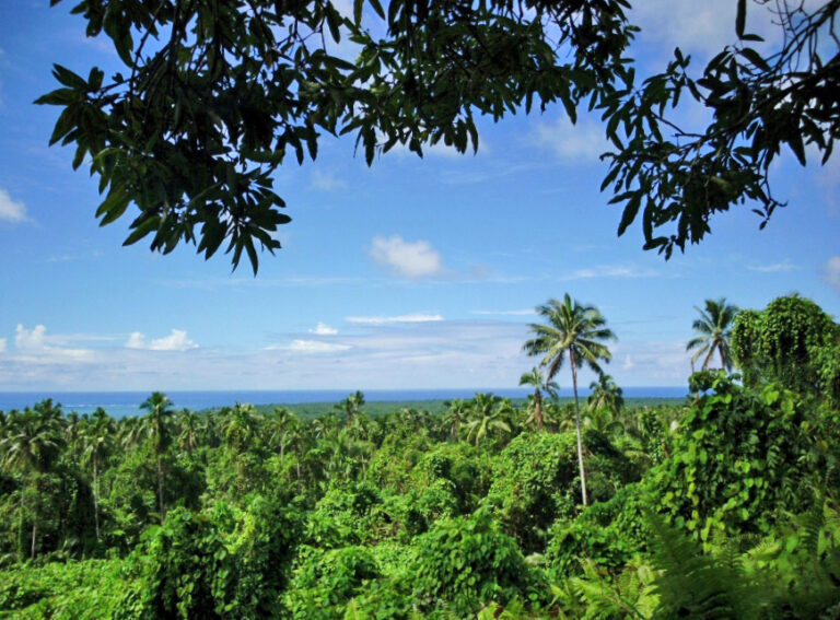 Pulemelei Mound