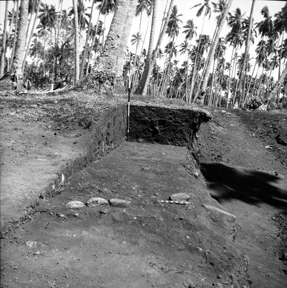 F 2 Ak Uni Vailele excavation researcher Jack Golson 2