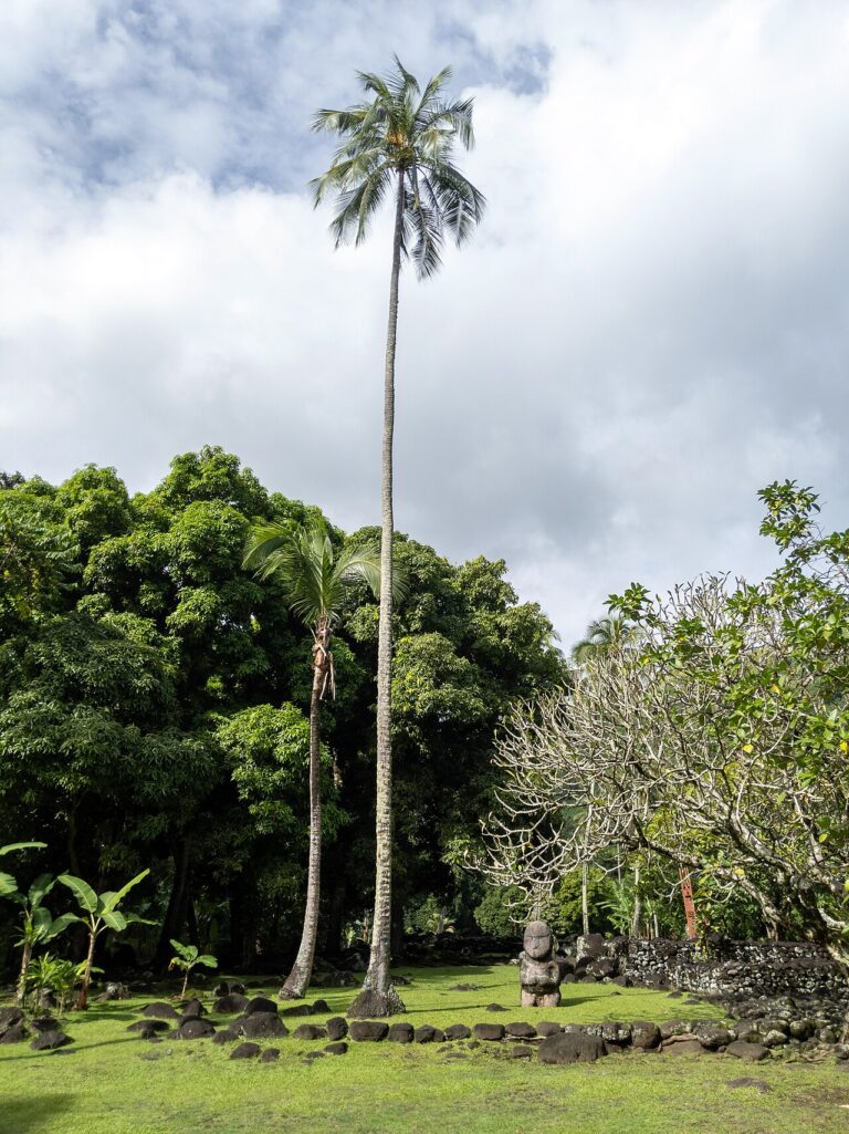 Tahiti, French Polynesia 'Ārahurahu Marae