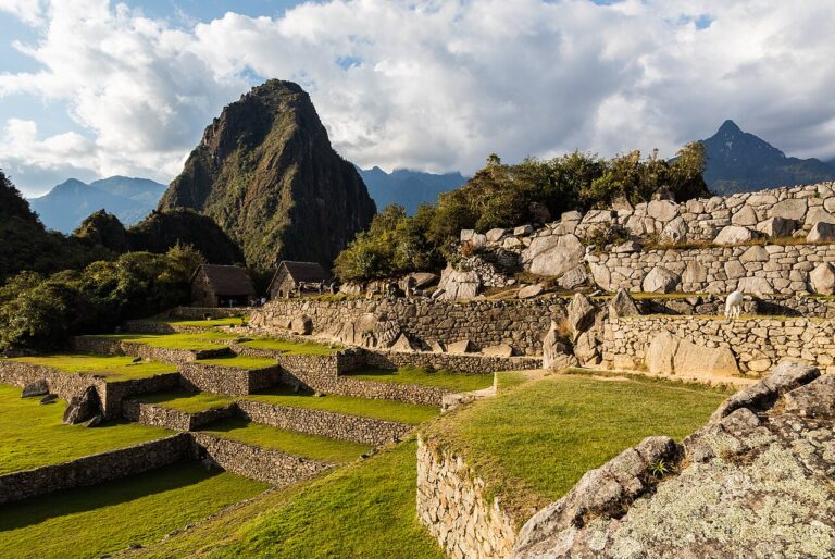 Machu Picchu, Perú, 07 30, DD