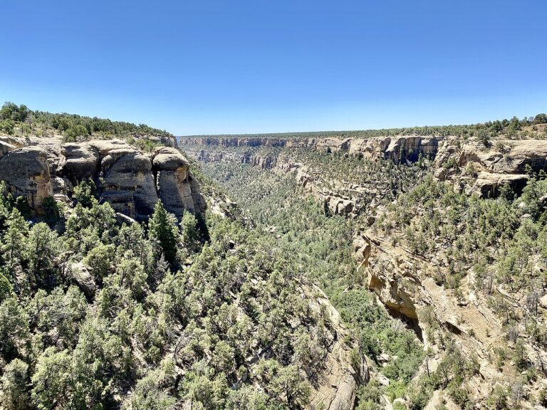 View from Cliff Palace Overlook, Mesa Verde National Park, Mancos, CO