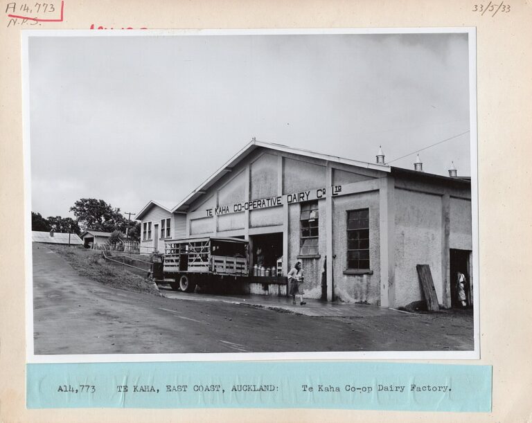 33.5.33 Te Kaha Co op Dairy Factory