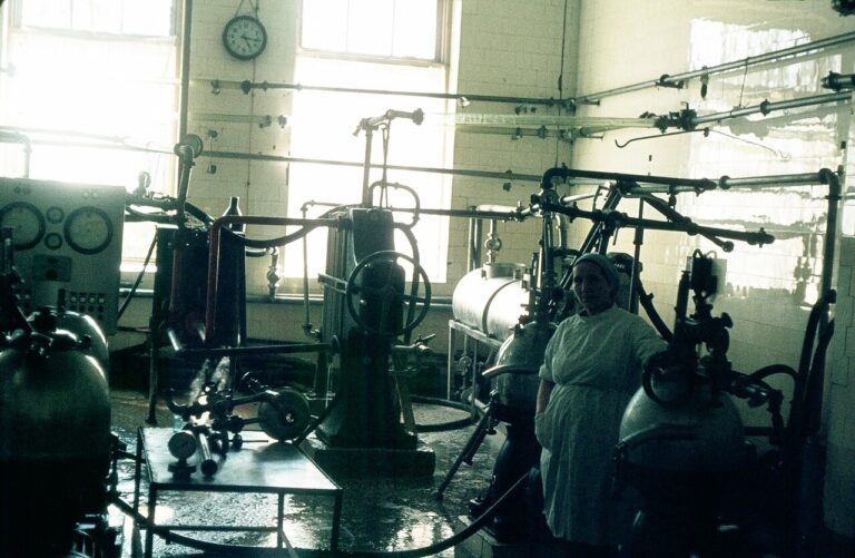 Dairy factory Tbilisi