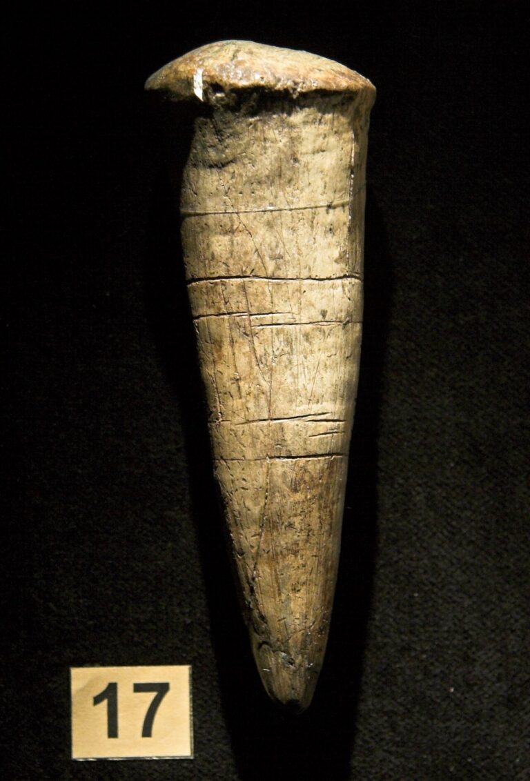 Antler decorated with incisions, Paleolithic