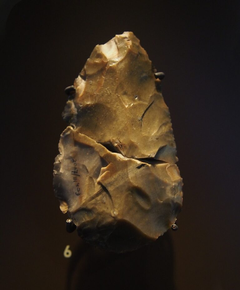 Meppel paleolithic tool