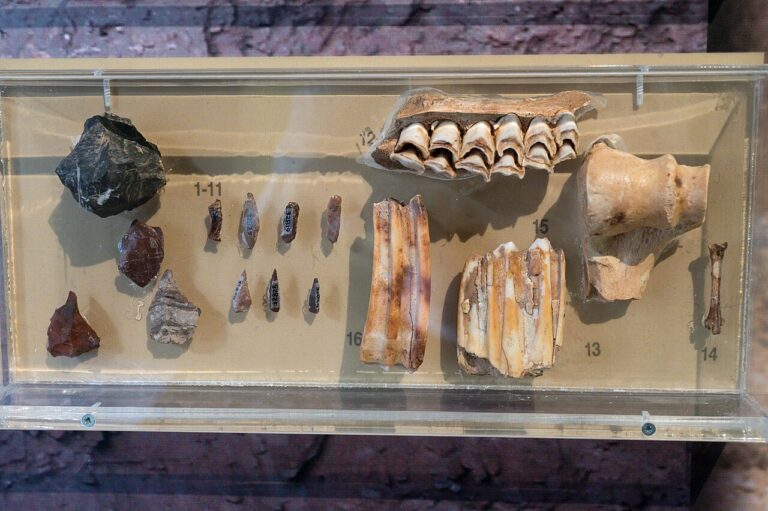 Paleolithic, Franchthi Cave