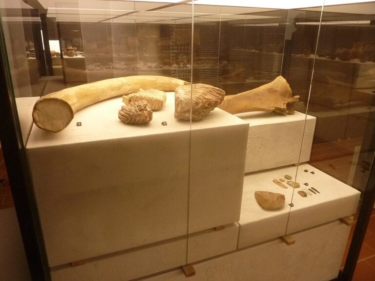 Zemplín Museum in Michalovce Archaeological permanent exhibition Paleolithic exhibit