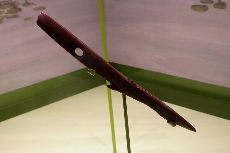 Mesolithic Harpoon from Star Carr in the Cambridge University Museum of Archaeology and Anthropology