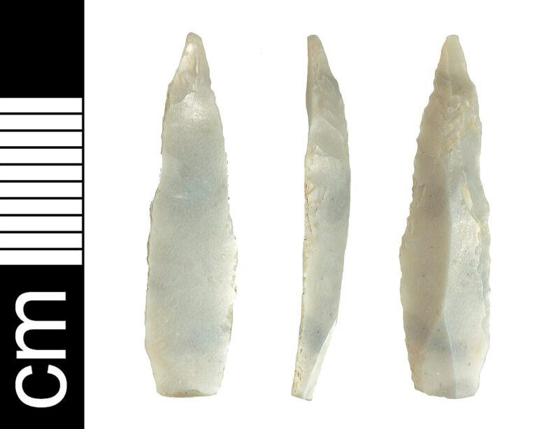 Mesolithic flint microlith