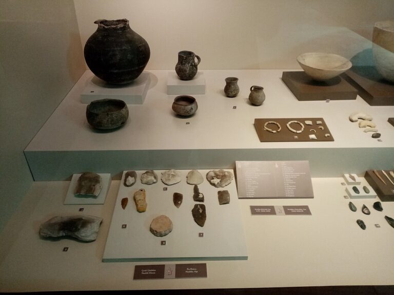 Neolithic and Chalcolithic Age archaeological findings