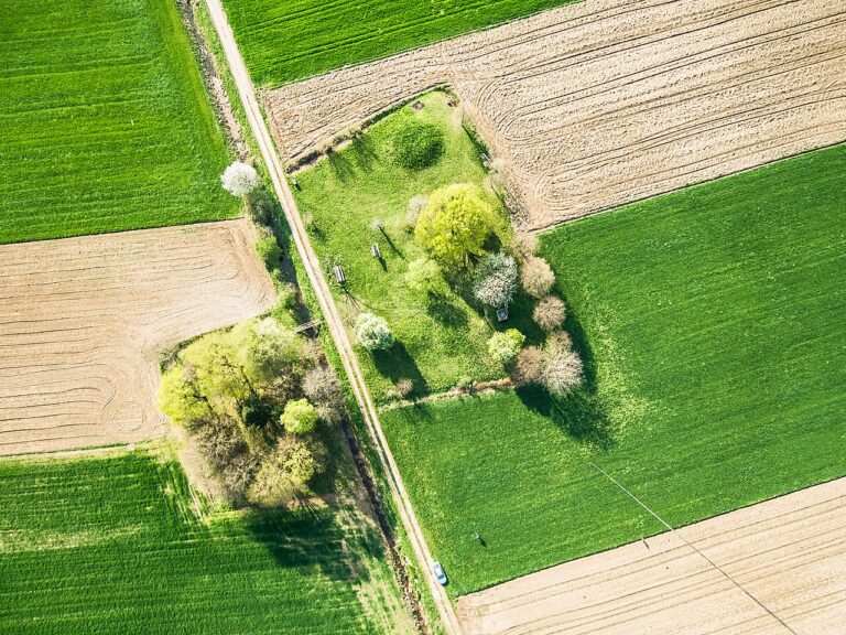 Late Iron Age burial mounds site near Podloze, Slovenia