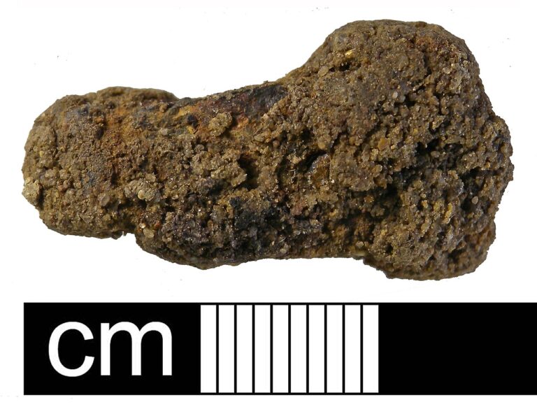 Early Medieval Buckle, Catalogue number