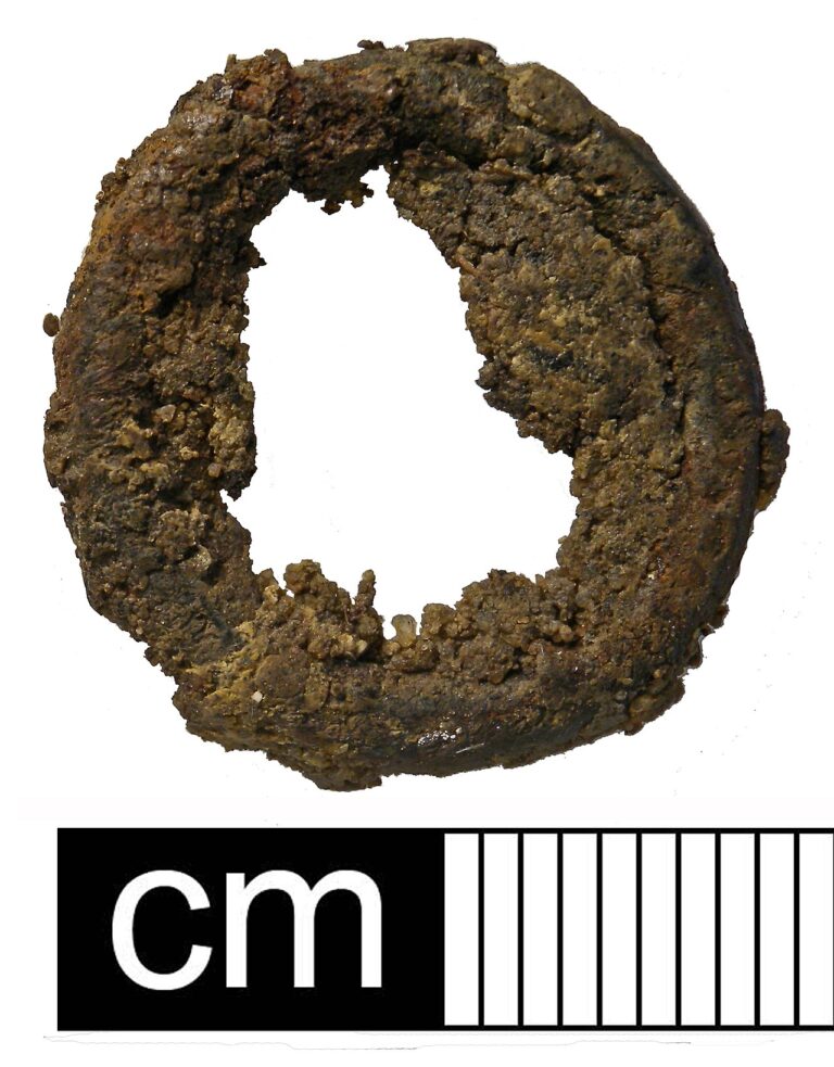 Early Medieval Chatelaine ring, Catalogue number
