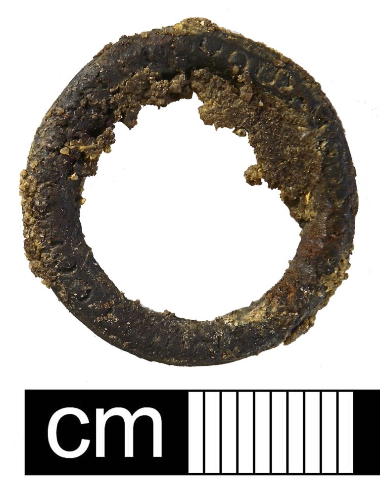 Early Medieval Chatelaine ring, Catalogue number