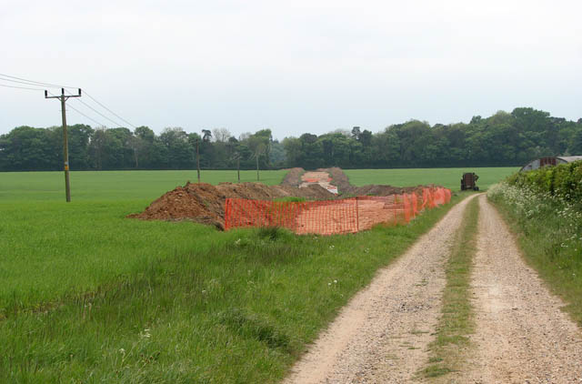 The site of a medieval village partially unearthed