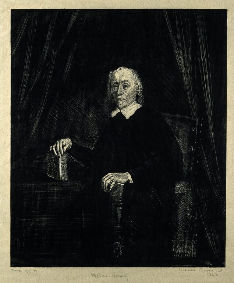 Portrait of William Harvey, surgeon