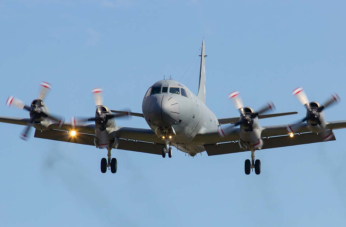 Grey CP-140 Aurora approaching head-on with landing gear down and propellers turning.