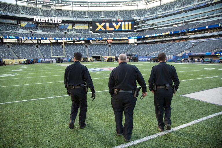 MetLife Stadium image 4
