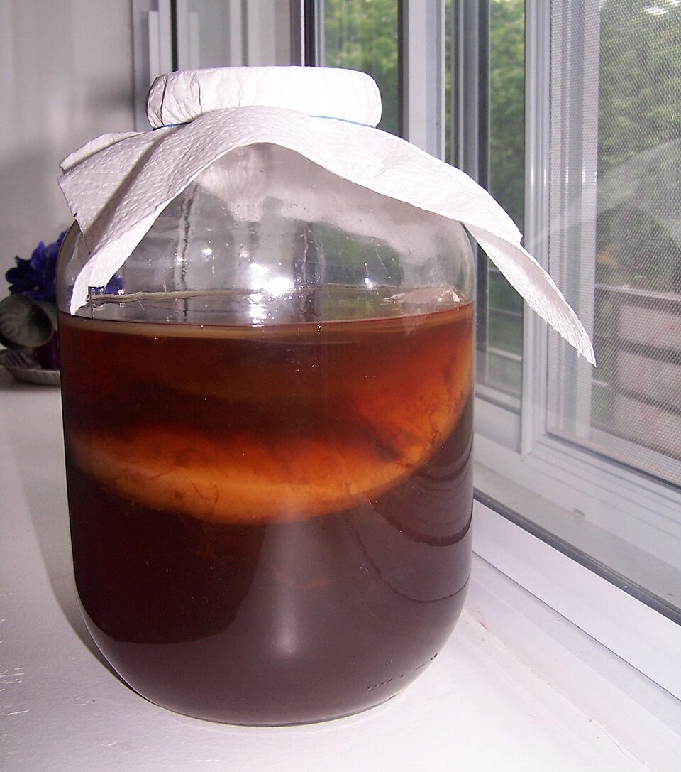 Gluconobacter (Oxidative Fermentation Bacteria)