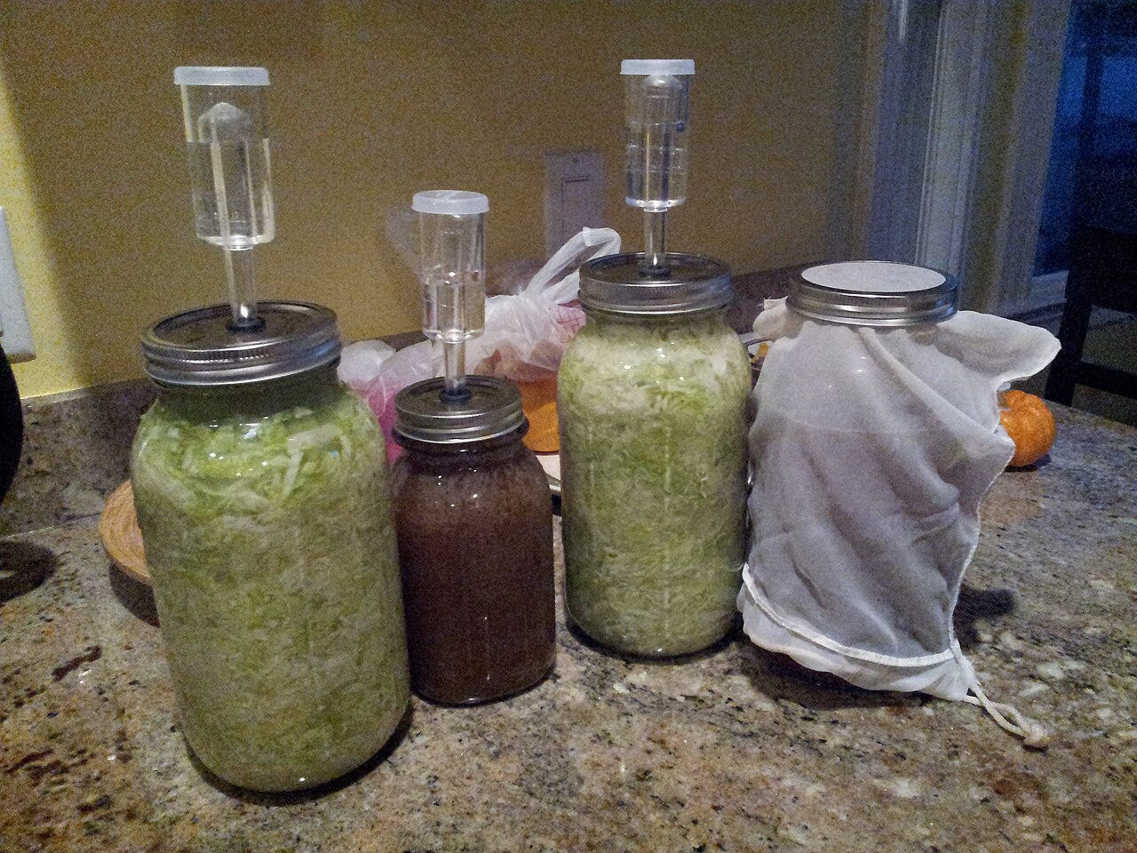 Leuconostoc (Aromatic Fermentation Bacteria)