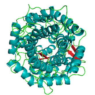 Methylococcus (Single-Cell Protein Bacteria)