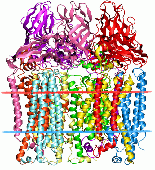 Methylococcus (Single-Cell Protein Bacteria)