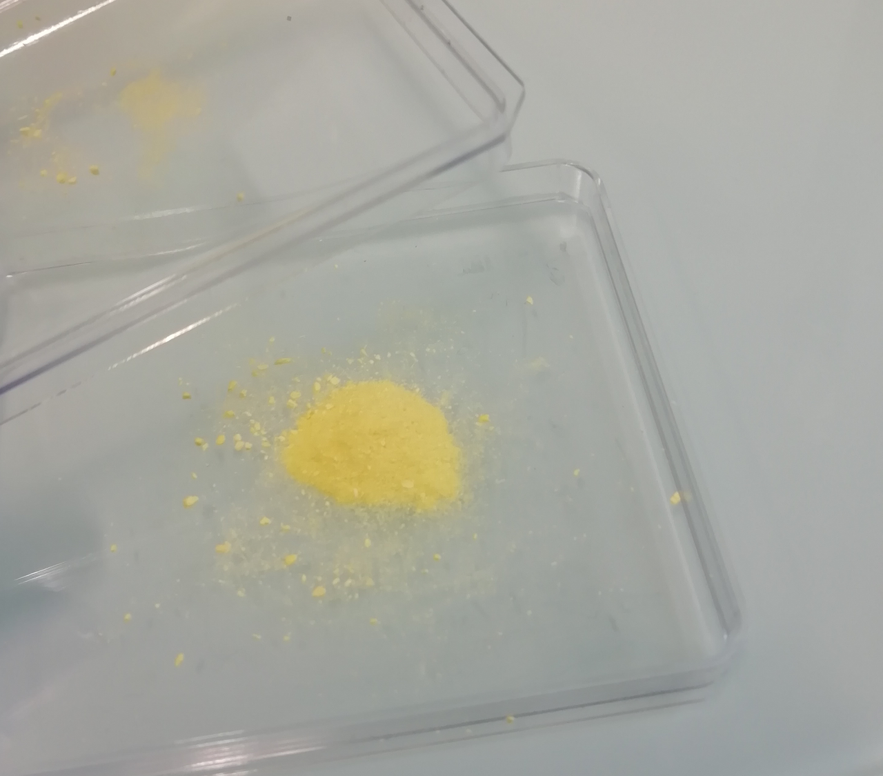 Microbial Enzymes