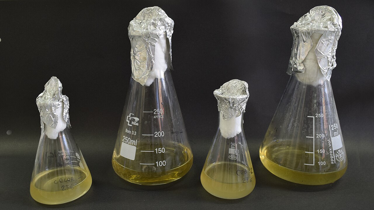 Microbial Enzymes