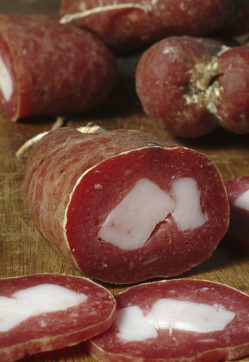 Pediococcus (Fermentation Bacteria)