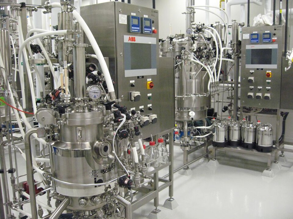 Precision-Fermented Functional Proteins