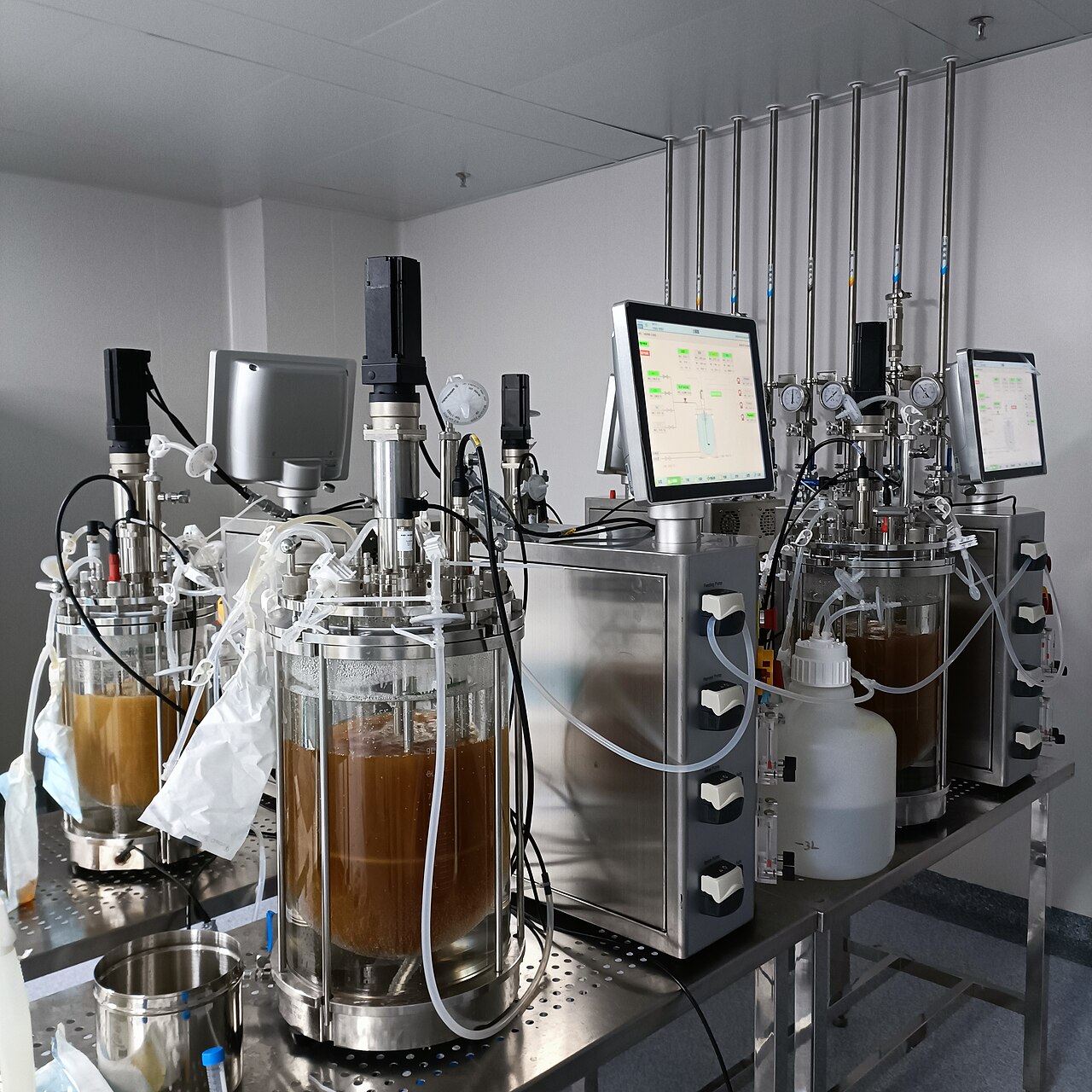 Precision-Fermented Functional Proteins