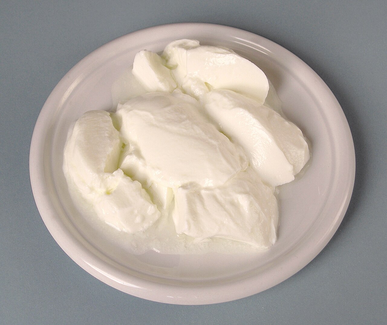 Streptococcus (Yogurt Bacteria)