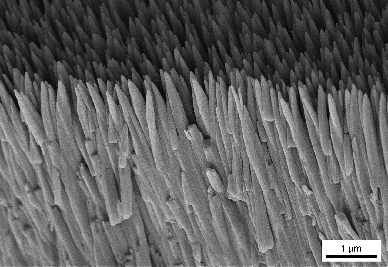Calcium Phosphate
