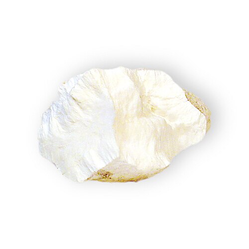 Calcium Silicate