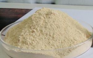 Ferric Orthophosphate