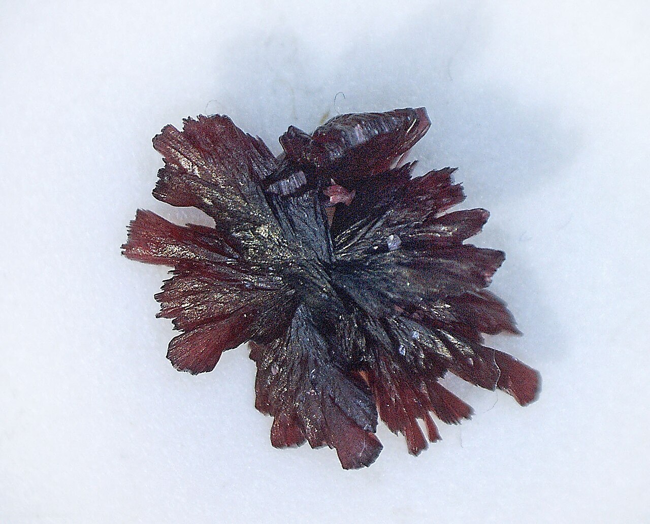 Potassium Bitartrate