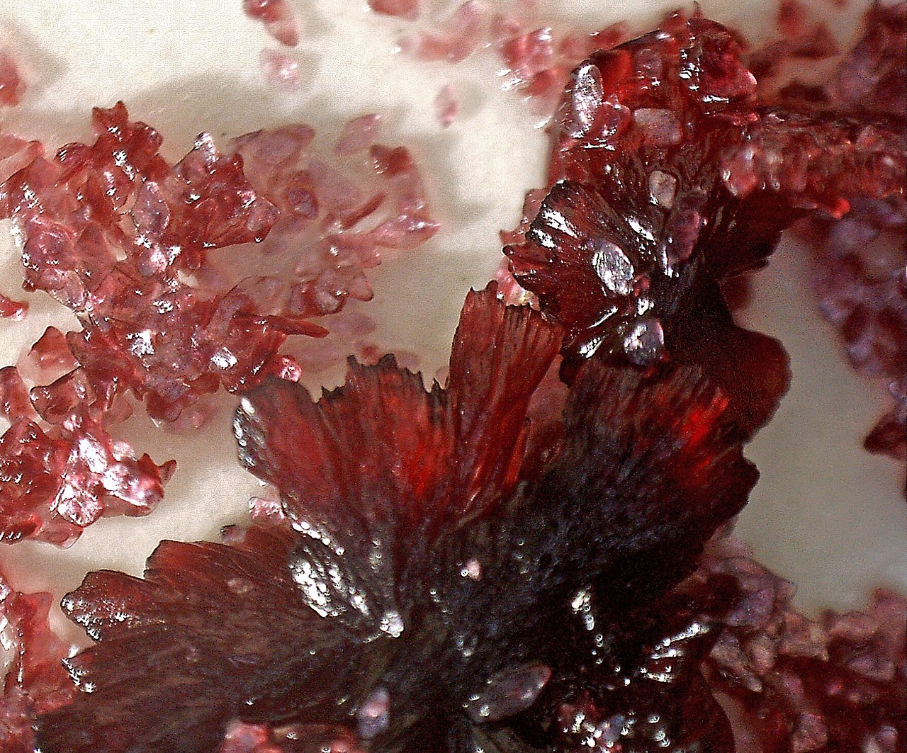 Potassium Bitartrate