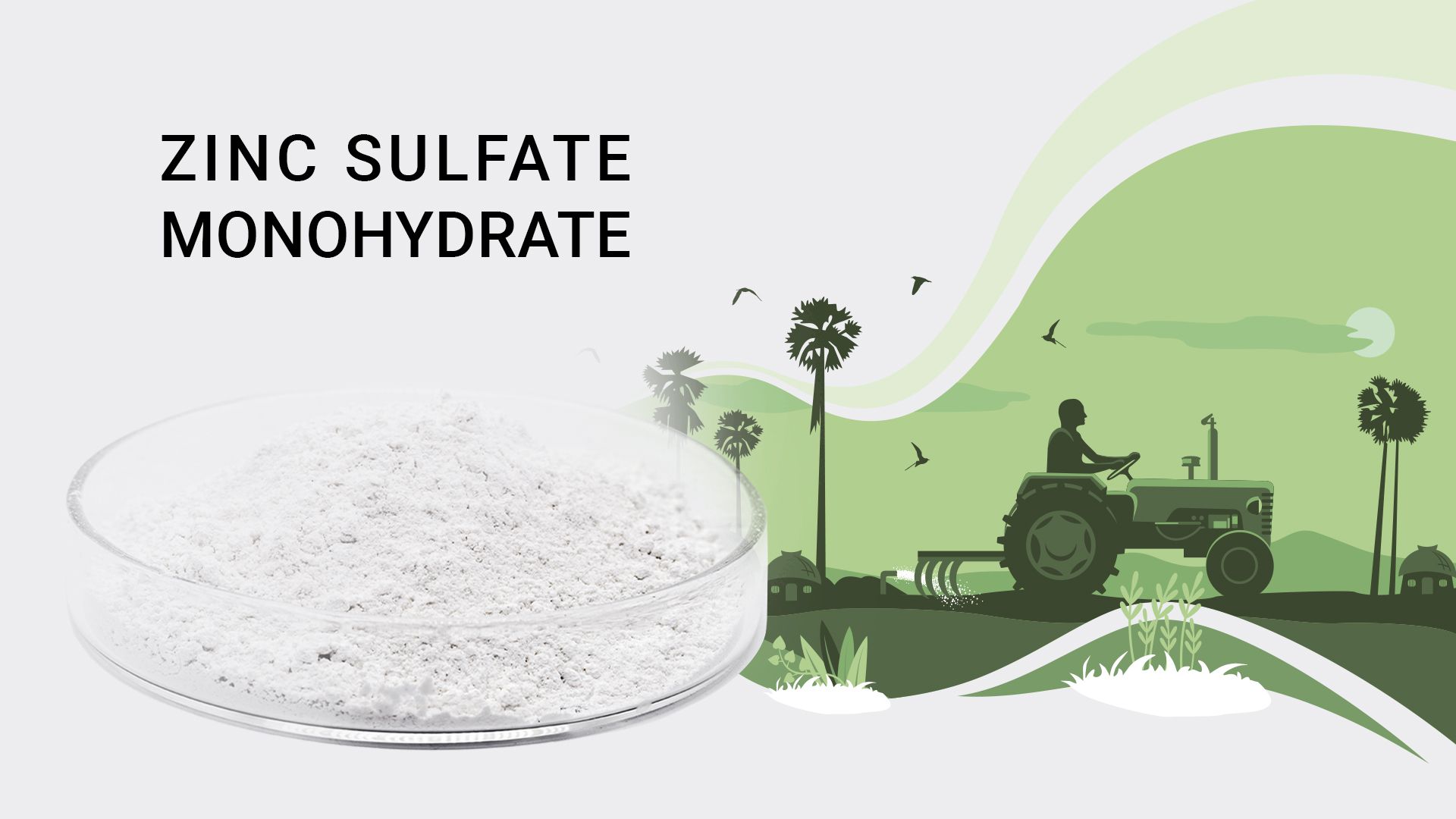 Zinc Sulfate