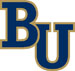 Bethel University (Minnesota) logo