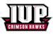 Indiana University of Pennsylvania logo