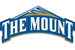 Mount St. Mary's University logo