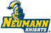 Neumann University logo