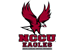 North Carolina Central University logo