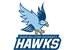 Roger Williams University logo